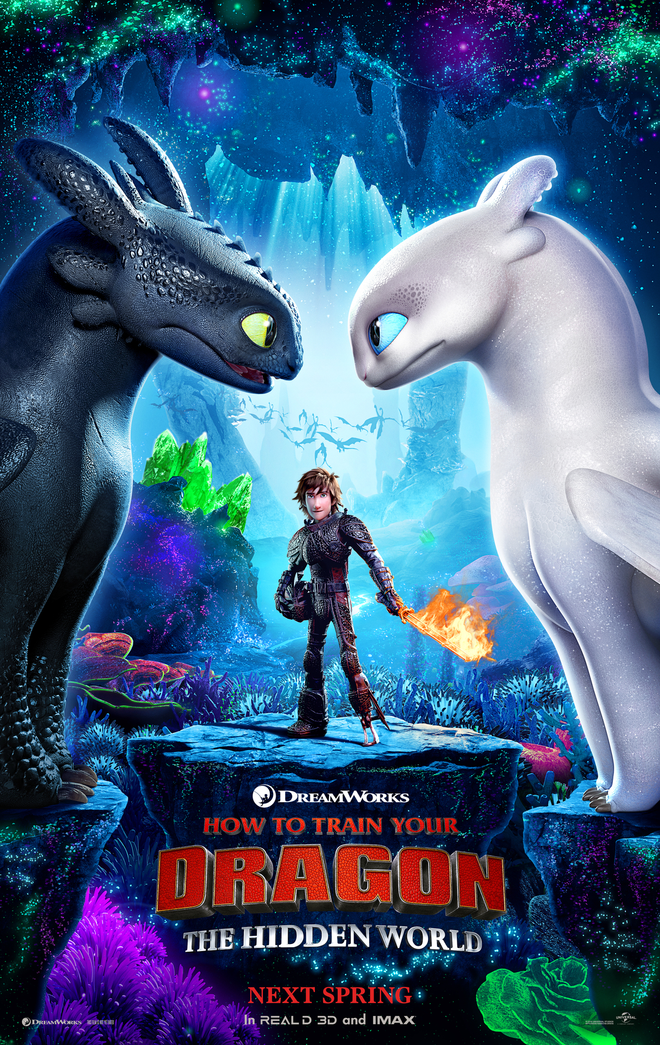 HOW TO TRAIN YOUR DRAGON 3